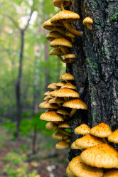 Similar image 21793405