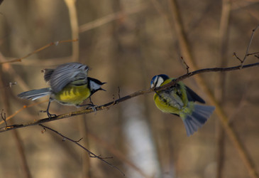 Similar image 21788995