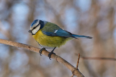 Similar image 21789962