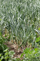 Similar image 21788962