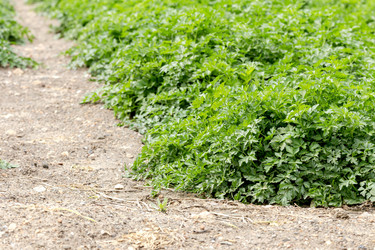 Similar image 21793922