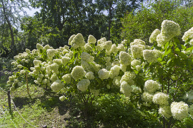 Similar image 21789071