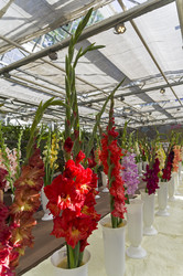 Similar image 21789072