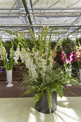 Similar image 21789073