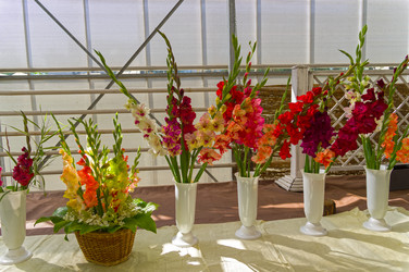 Similar image 21789074