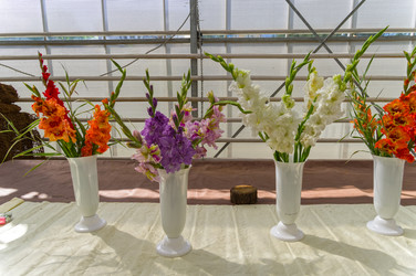 Similar image 21789075