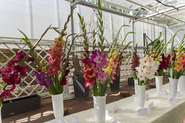 Similar image 21789076