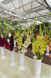 Similar image 21789077