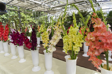 Similar image 21789078