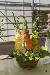 Similar image 21789079