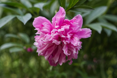 Similar image 21789100