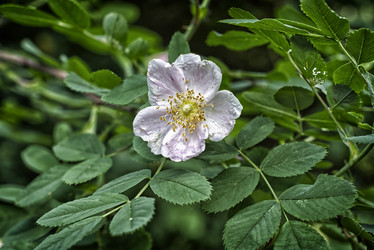 Similar image 21789101