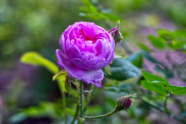 Similar image 21789102