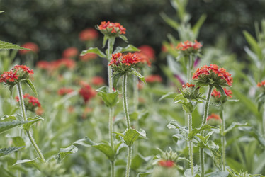 Similar image 21789104