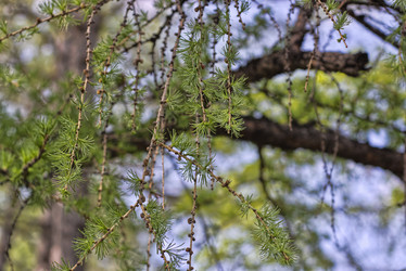 Similar image 21789110