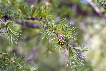 Similar image 21789111