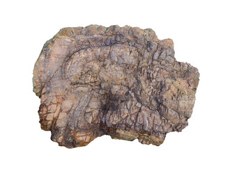 Similar image 21789098