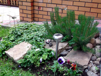 Similar image 21789324