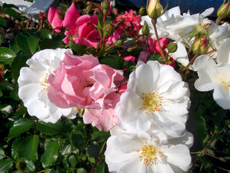 Similar image 21789325