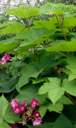 Similar image 21789327