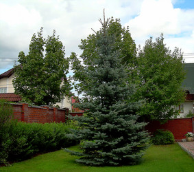 Similar image 21789328