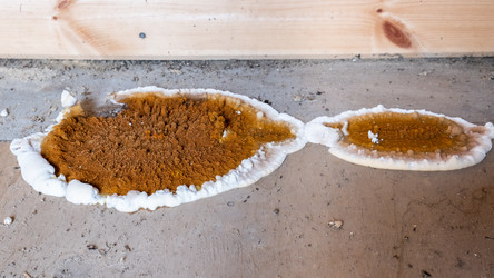 Similar image 21789113