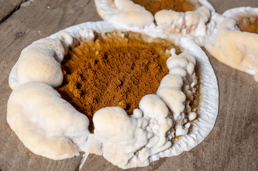 Similar image 21789334