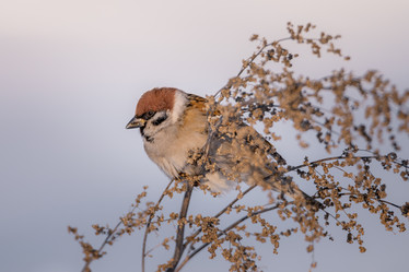 Similar image 21789509