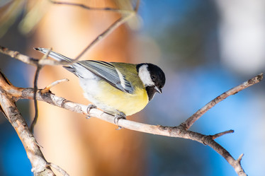 Similar image 21789511