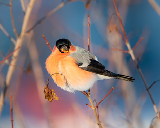 Similar image 21789512