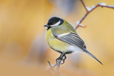 Similar image 21789513