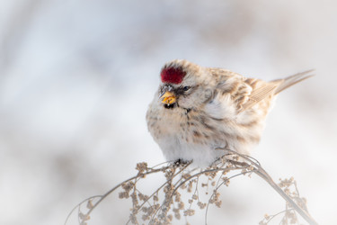 Similar image 21789514