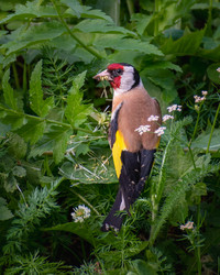 Similar image 21789516