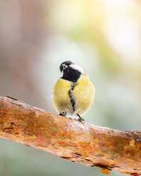 Similar image 21789519