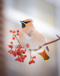 Similar image 21789523