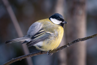 Similar image 21789524