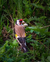 Similar image 21789525