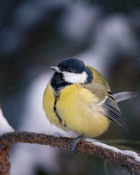 Similar image 21789526