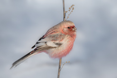 Similar image 21789527