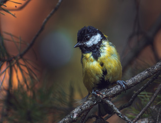 Similar image 21789530