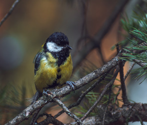 Similar image 21789531