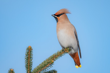 Similar image 21789533