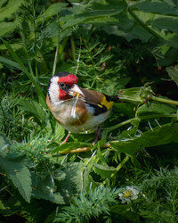 Similar image 21789535