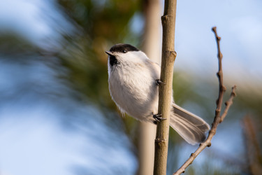 Similar image 21789540