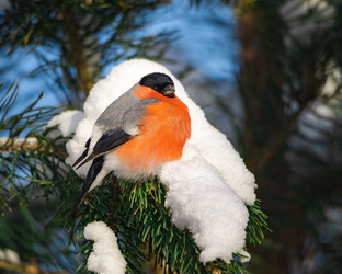 Similar image 21789541