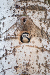 Similar image 21789542