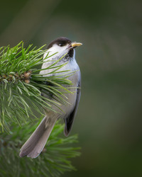 Similar image 21789543