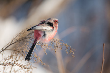 Similar image 21789544