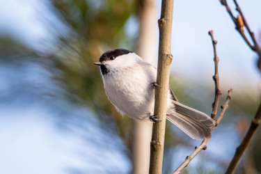 Similar image 21789545