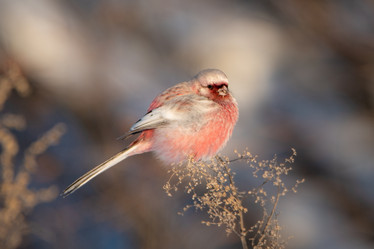 Similar image 21789546